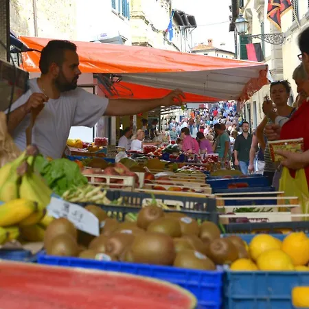 Manciano فيلة